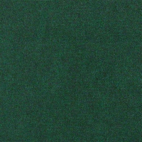 English Ivy