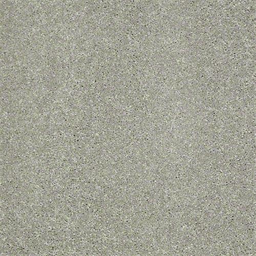 Soft Conditions Plus 12 in Basket Weave - Carpet by Shaw Flooring