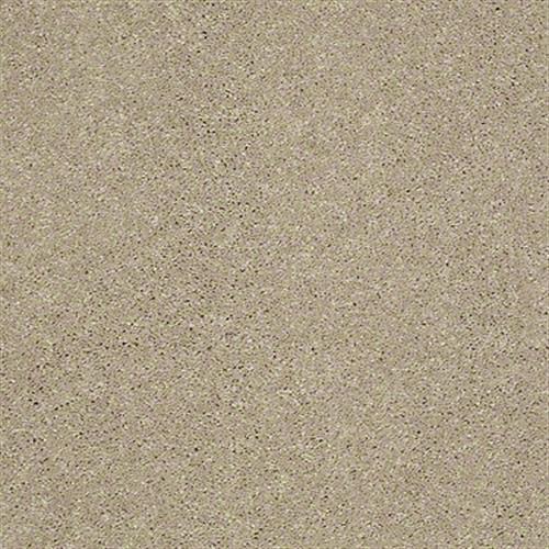 Soft Conditions Plus 12 in Rolled Oats - Carpet by Shaw Flooring
