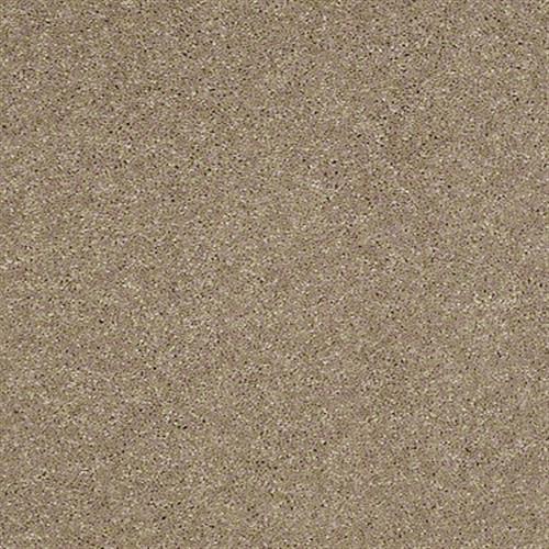 Soft Conditions Plus 12 in Cornmeal - Carpet by Shaw Flooring