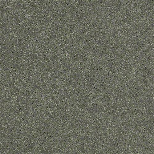 Soft Conditions Plus 12 in Celery Stalk - Carpet by Shaw Flooring