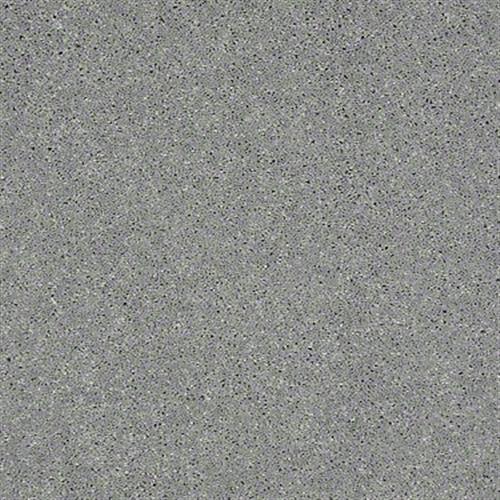 Soft Conditions Plus 12 in Arctic - Carpet by Shaw Flooring