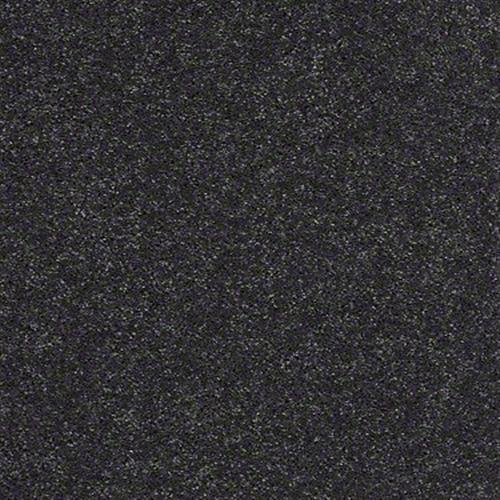 Soft Conditions Plus 12 in Inkwell - Carpet by Shaw Flooring