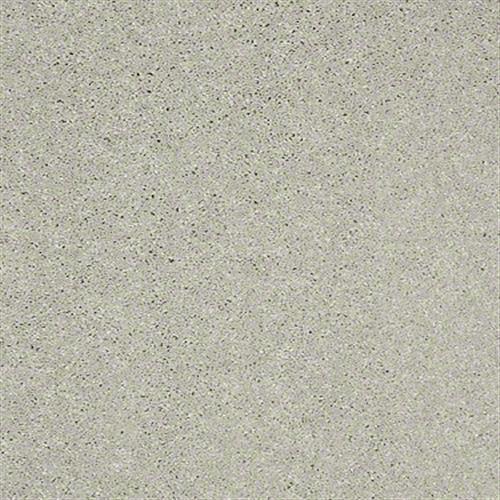 Soft Conditions Plus 12 in Polar Cap - Carpet by Shaw Flooring