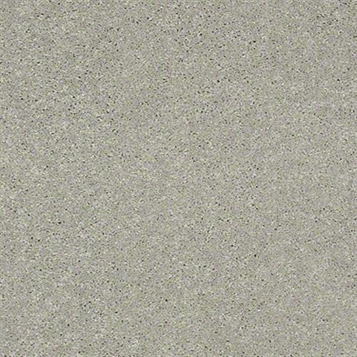 Soft Conditions Plus 12 in Jingle Bell - Carpet by Shaw Flooring