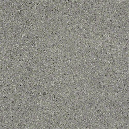 Soft Conditions Plus 12 in Lunar Eclipse - Carpet by Shaw Flooring