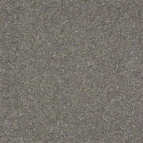 Soft Conditions Plus 12 in Zinc - Carpet by Shaw Flooring