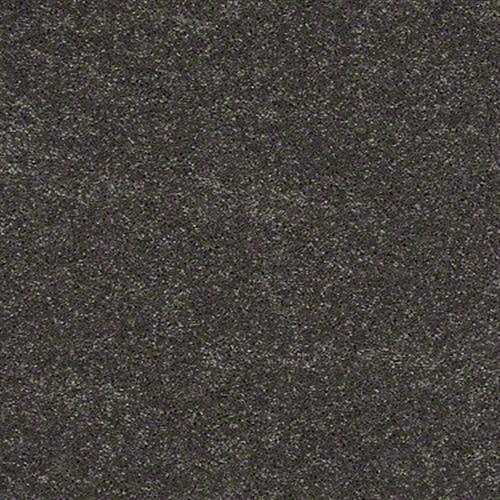 Soft Conditions Plus 12 in City Fog - Carpet by Shaw Flooring
