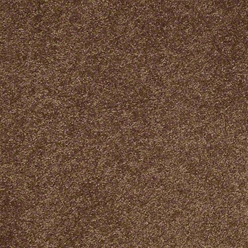 Soft Conditions Plus 12 in Old Copper - Carpet by Shaw Flooring