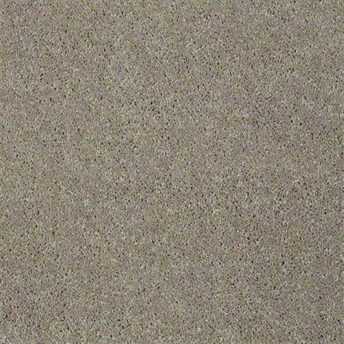 Soft Conditions Plus 12 in Granola - Carpet by Shaw Flooring
