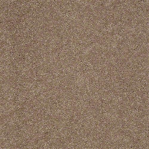 Soft Conditions Plus 12 in Cork Board - Carpet by Shaw Flooring