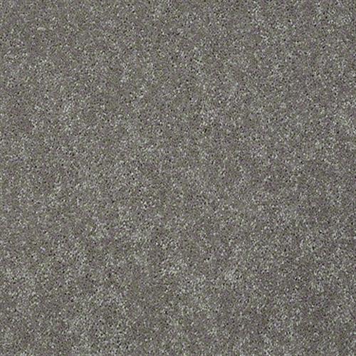 Soft Conditions Plus 12 in Pinecone - Carpet by Shaw Flooring