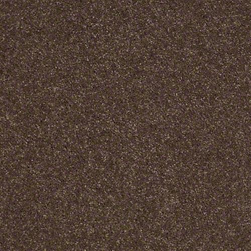 Soft Conditions Plus 12 in Fudge - Carpet by Shaw Flooring