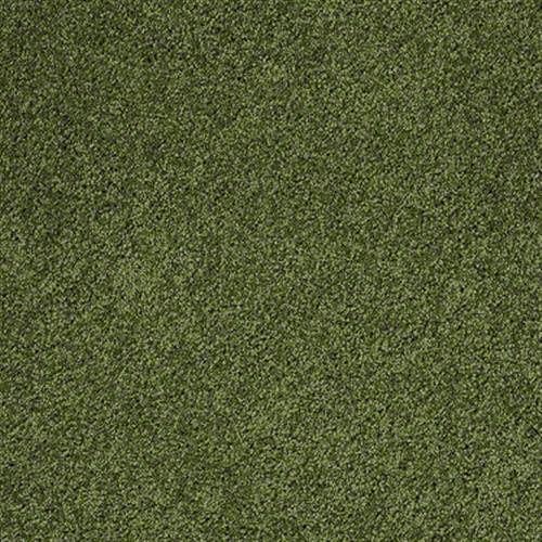 Designer Twist Gold S Classic Kelly By Shaw Industries Greater Michigan Metro Carpet Floors