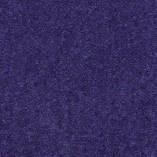 Lavender Field