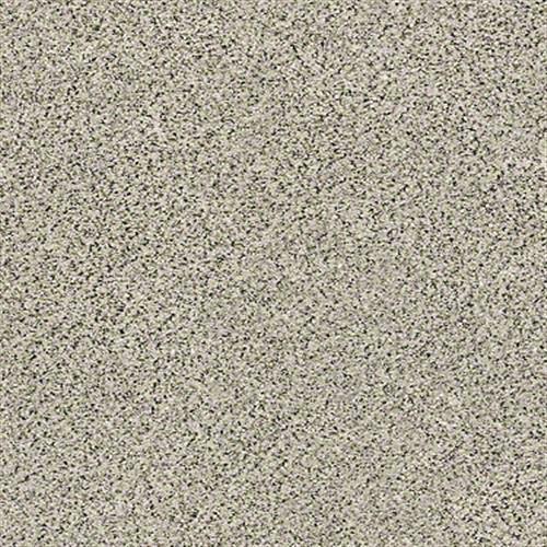 Enrich II in Grain - Carpet by Shaw Flooring