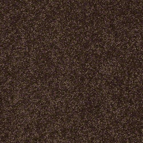 Design Texture Silver in Hot Cocoa - Carpet by Shaw Flooring
