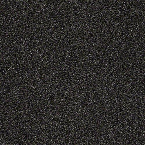 Cannes in Black Cosmic - Carpet by Shaw Flooring