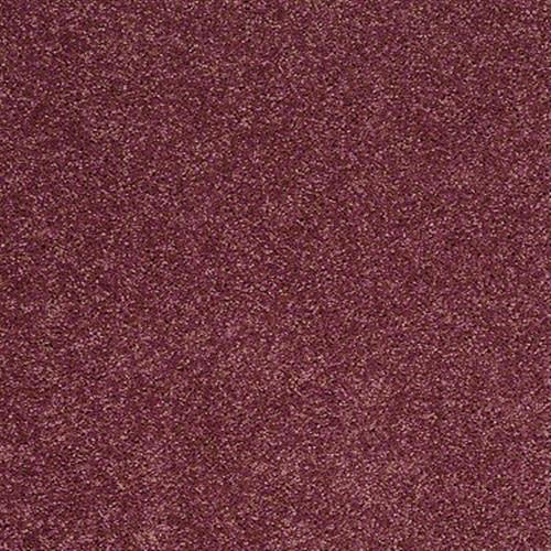 Elluminate II in Berry Kiss - Carpet by Shaw Flooring