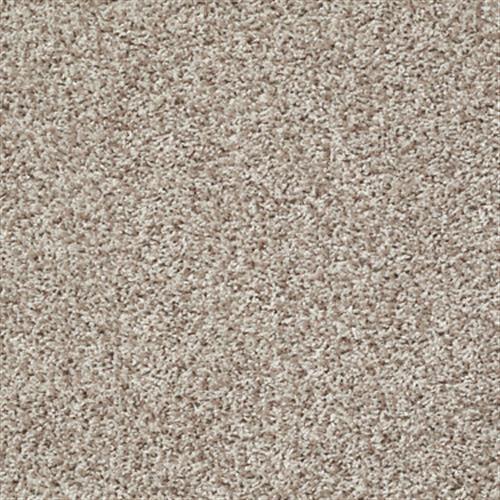 Gratitude in Cornmeal - Carpet by Shaw Flooring