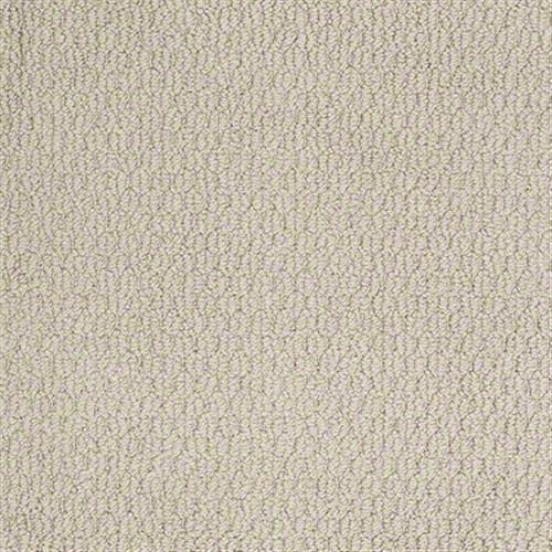 Shaw Industries In The Present String Carpet - Clearwater ...