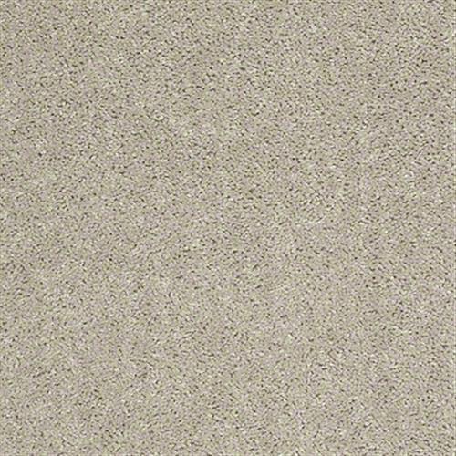 Kenova 12' in Misty Taupe - Carpet by Shaw Flooring