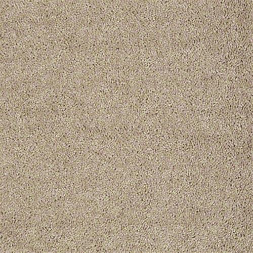 Kenova 12' in Soapstone - Carpet by Shaw Flooring