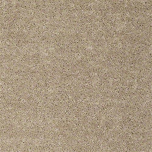 Kenova 12' in Wild Dune - Carpet by Shaw Flooring
