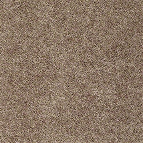 Kenova 12' in Rio Grande - Carpet by Shaw Flooring