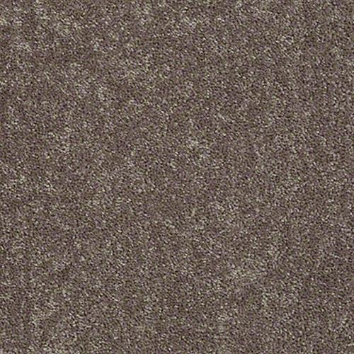 Kenova 12' in Shale - Carpet by Shaw Flooring