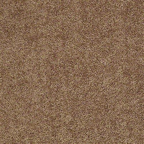 Kenova 12' in Desert Sunrise - Carpet by Shaw Flooring