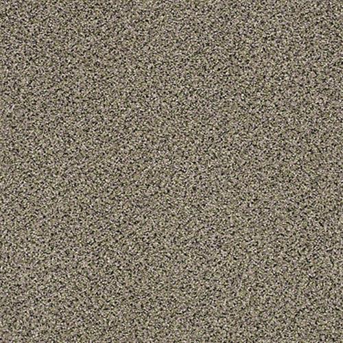 Pouring Love in Prairie Dust - Carpet by Shaw Flooring