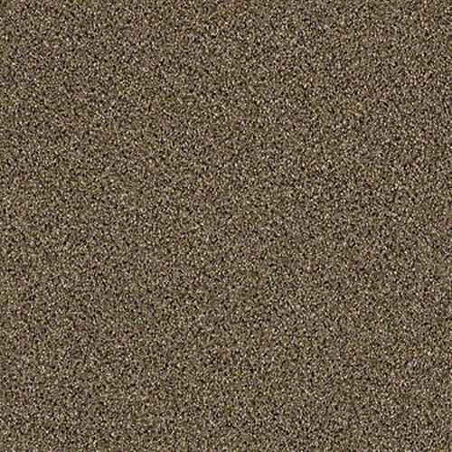 Pouring Love in Honey Bun - Carpet by Shaw Flooring