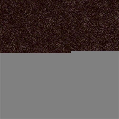 Textured Story 15 in Coffee - Carpet by Shaw Flooring