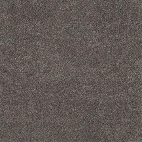 Settler Ridge II in Bistre - Carpet by Shaw Flooring