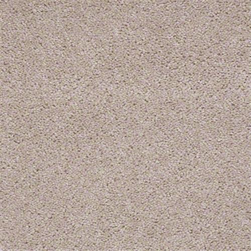 Stucco Haze