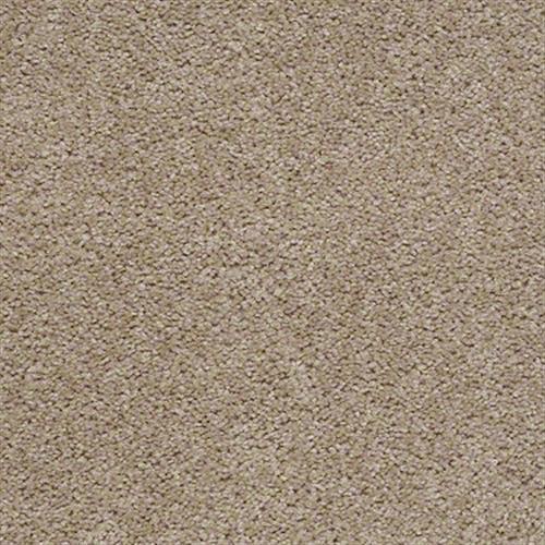 Dried Straw