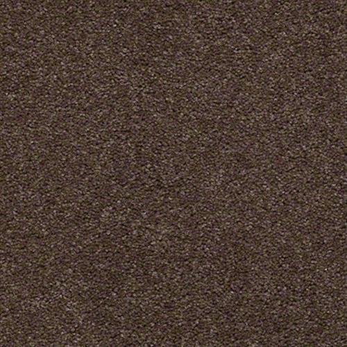 Brown Spice