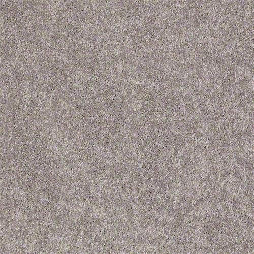 Shaw Industries Brushed Texture I Stone Texture Carpet Spring Tomball Texas Spring Carpets