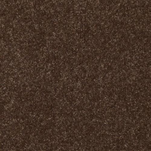 Mocha Chip