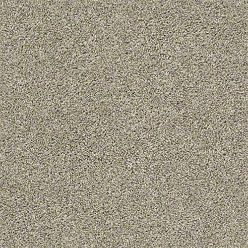 GRAND TURK Ornamental Gate Carpet 00122_HGP60 by Shaw Flooring