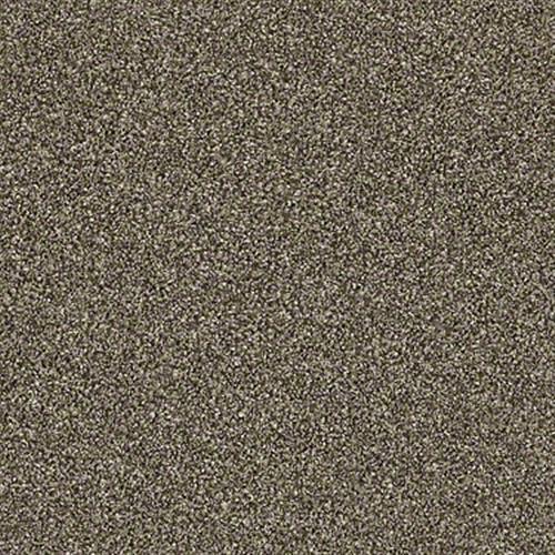 GRAND TURK Ornamental Gate Carpet 00122_HGP60 by Shaw Flooring