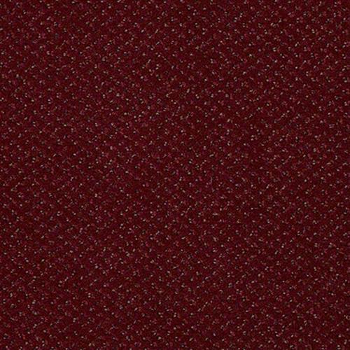 Shaw Industries Legend Falls Delray Carpet - Fort Atkinson ...