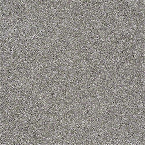 Jessica's Move by Shaw Floors Net - Pewter