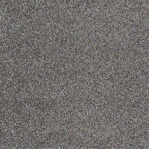 Jessica's Move by Shaw Floors Net - Charcoal