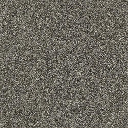 COMMANDING TONAL - Owl - Carpet - 00121_PS808 by Shaw Flooring