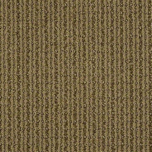 Born To Run in Lush Meadow - Carpet by Shaw Flooring