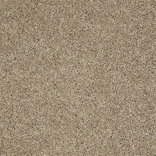 Strike A Chord in Burlap - Carpet by Shaw Flooring