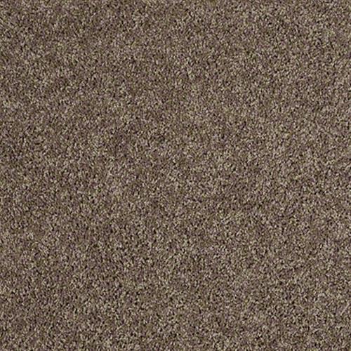 Strike A Chord in Dry Leaf - Carpet by Shaw Flooring