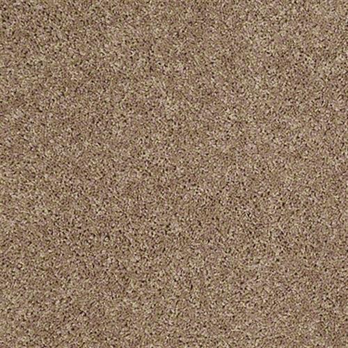 Strike A Chord in Nutmeg - Carpet by Shaw Flooring